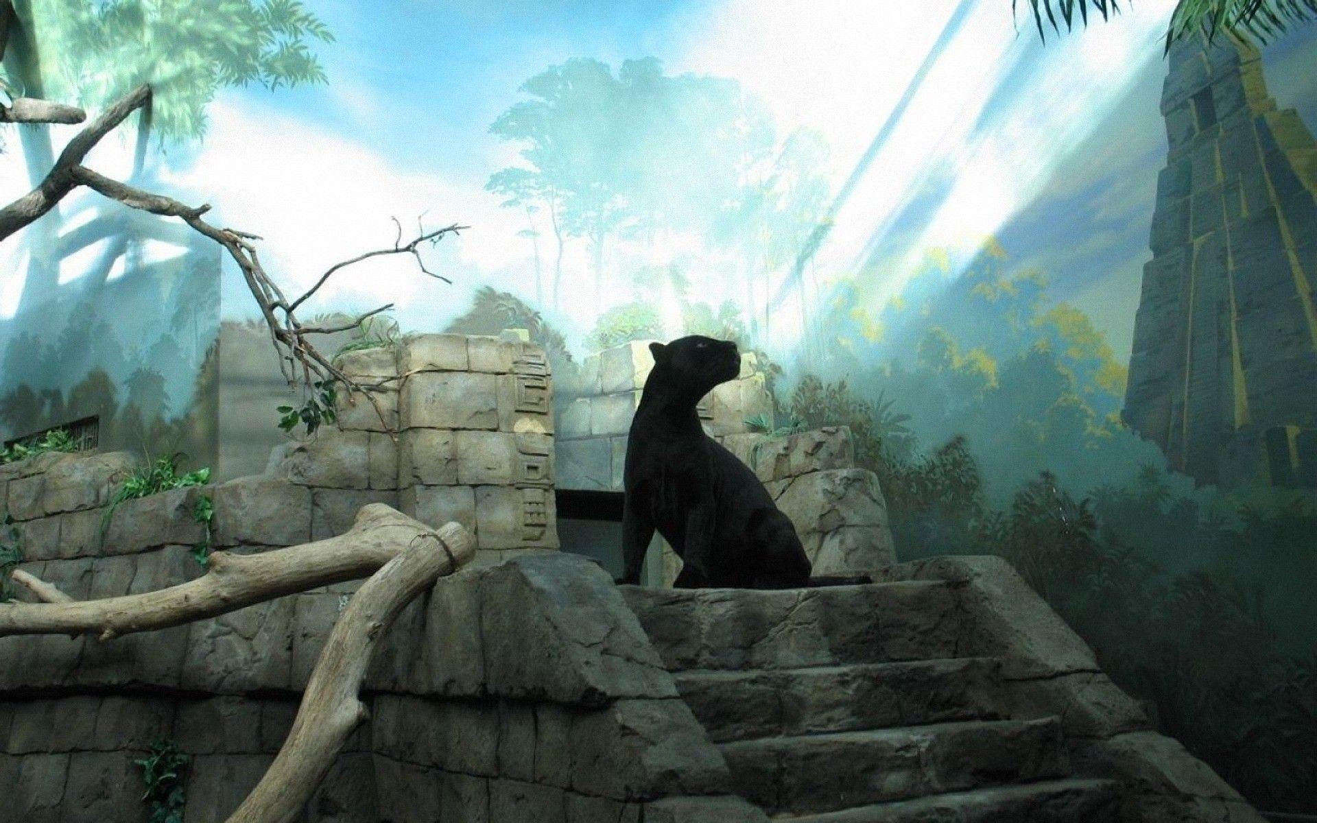 1920x1200 Ancient Panther