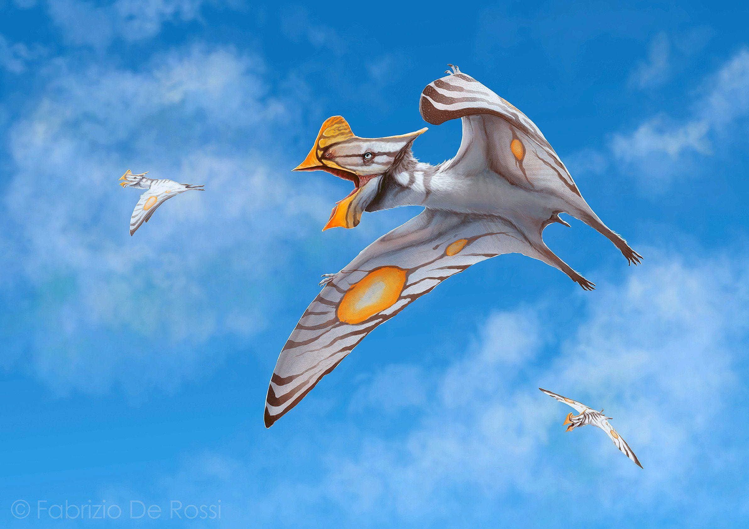 2384x1684 ancient, Animals, Dinosaurs, Sky, Flight, Tapejara, Animals, Wallpaper Wallpaper HD / Desktop and Mobile Background