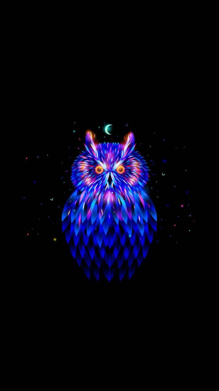 Neon Owl Wallpapers - Top Free Neon Owl Backgrounds - WallpaperAccess