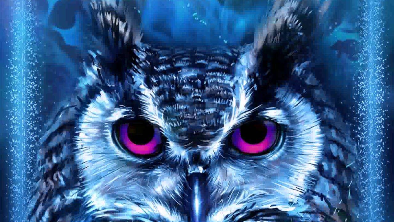 Neon Owl Wallpapers Top Free Neon Owl Backgrounds WallpaperAccess