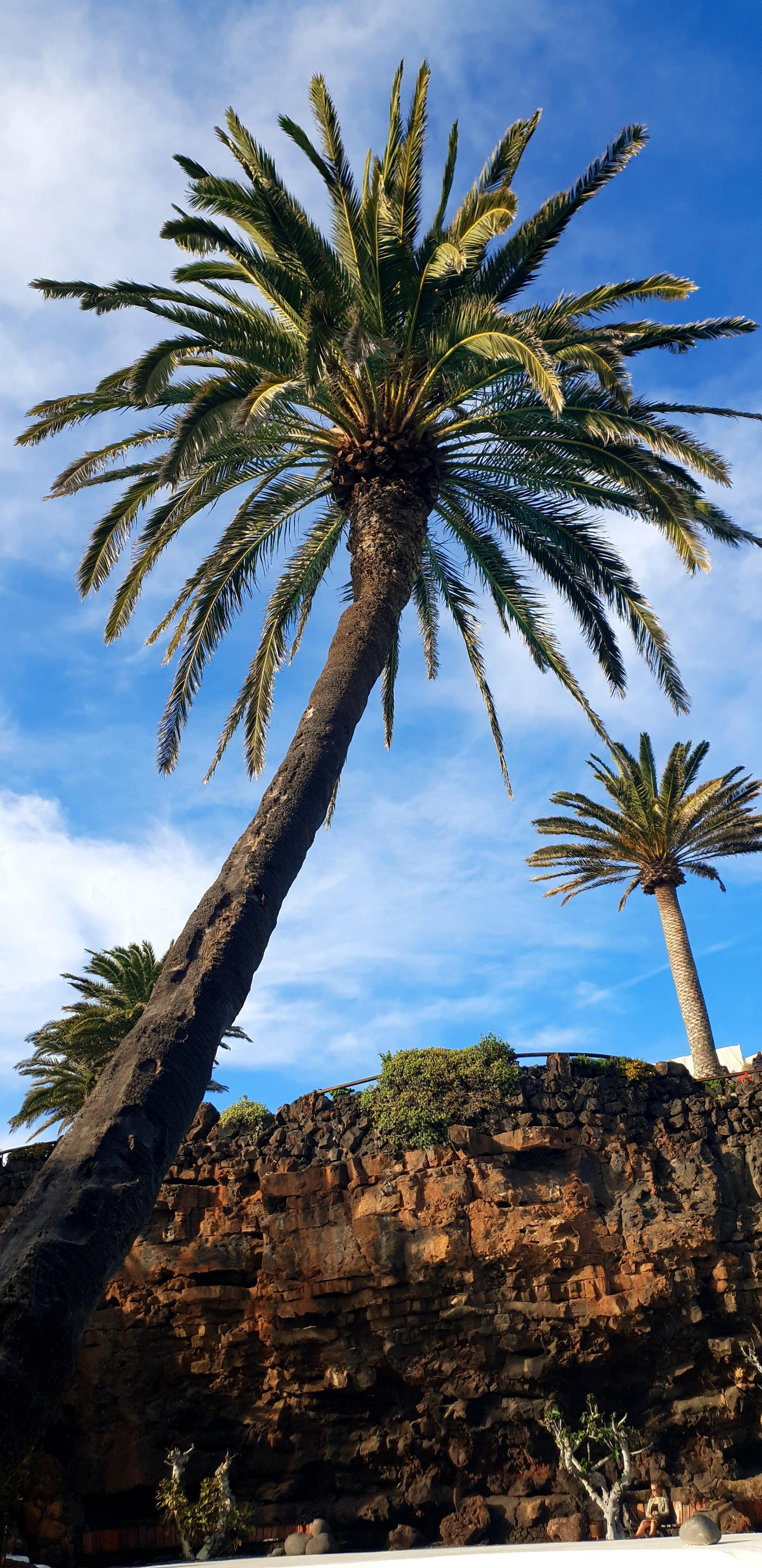 1960x4032 Lanzarote Spain. iPhone X Wallpaper X Wallpaper HD
