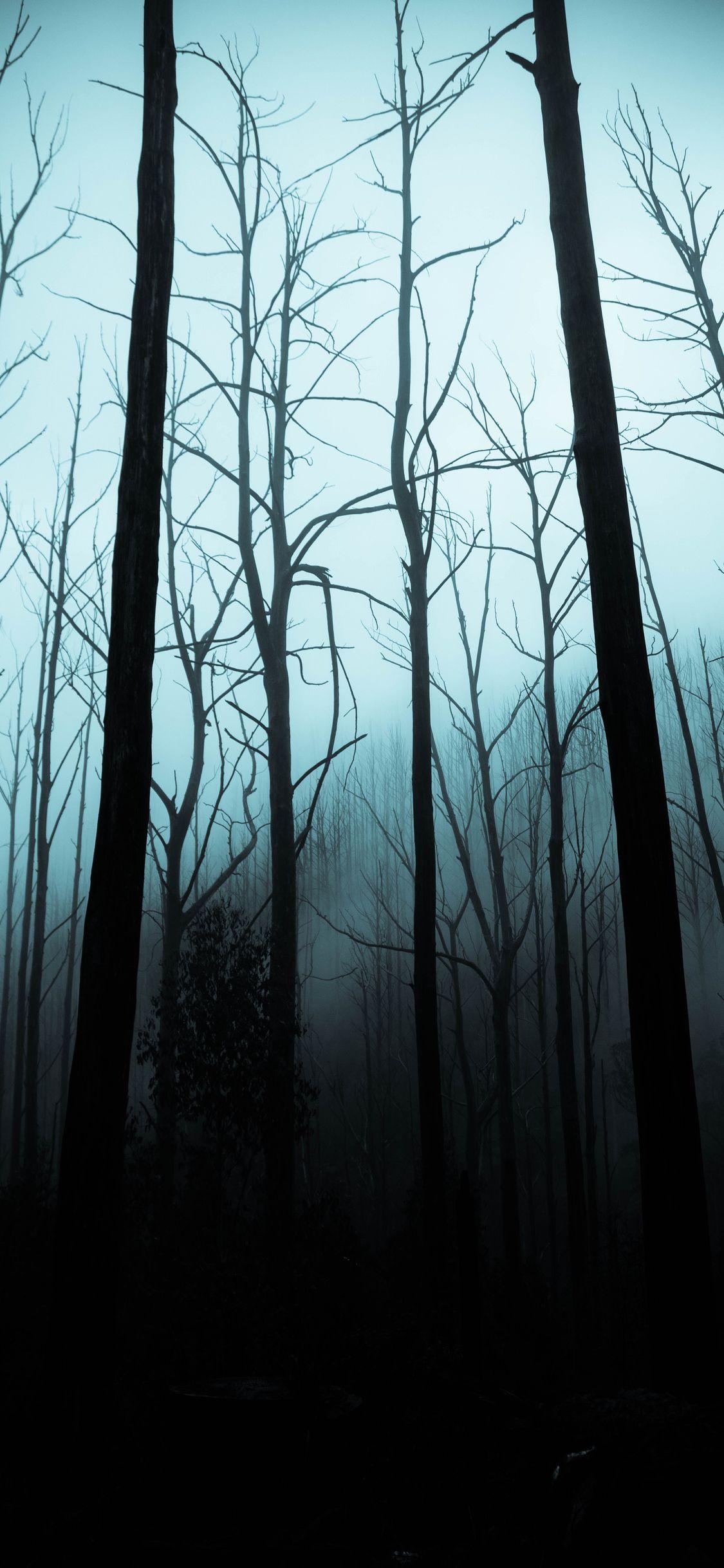 1125x2436 Minimal Halloween iPhone wallpaper pack