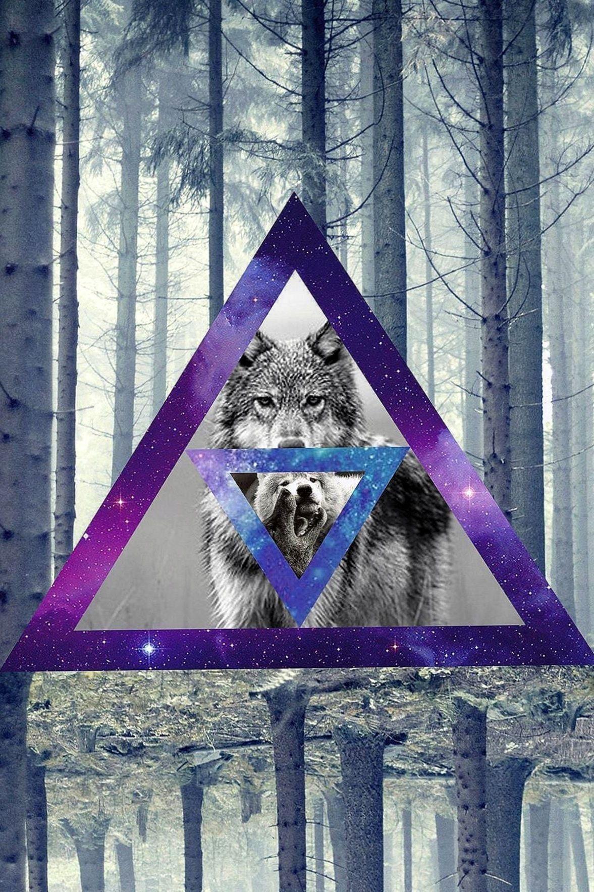 1177x1767 Hipster Wolf IPhone Wallpaper Wallpaper.Pro