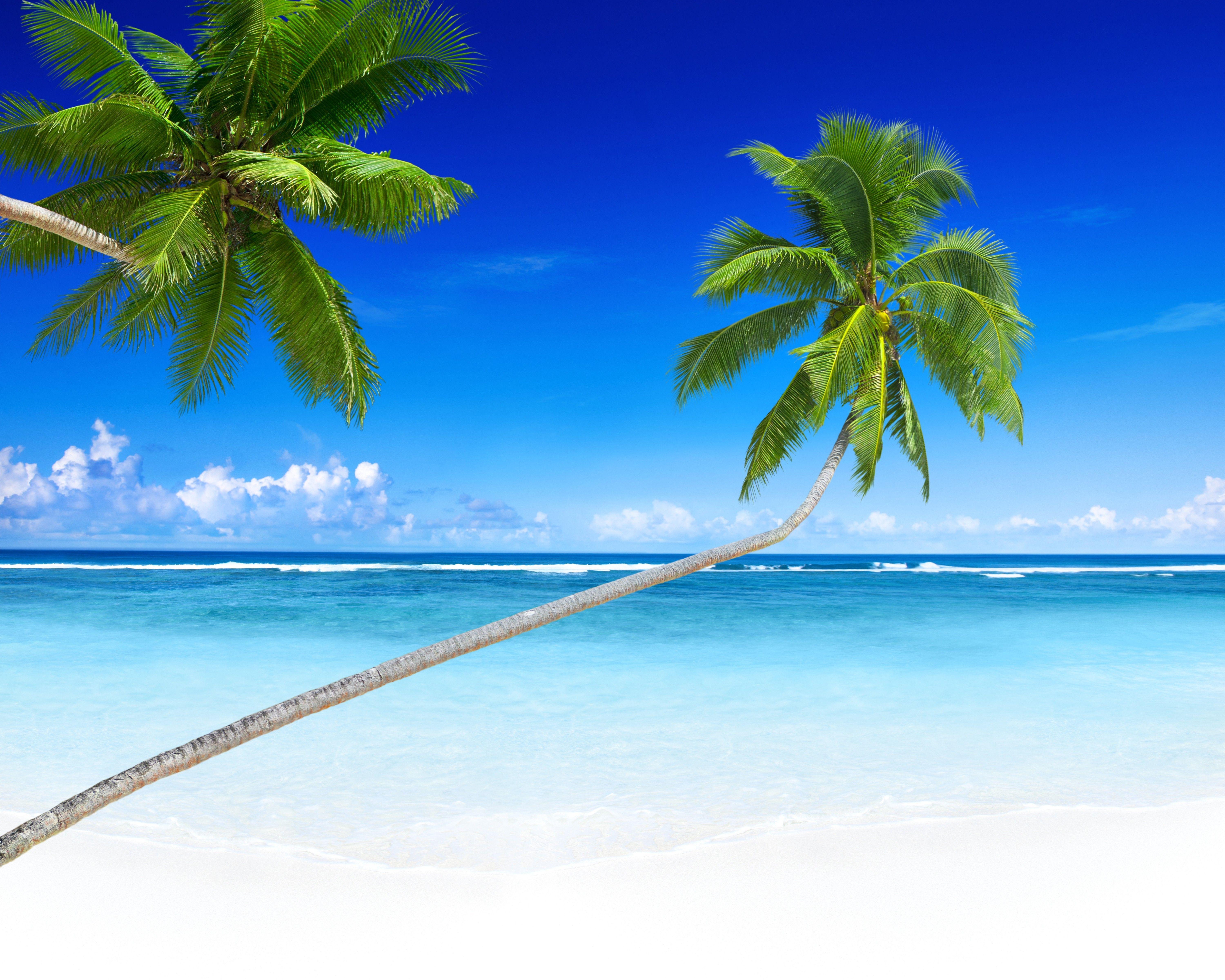 6000x4800 Gallery of 49 Free Paradise Background, Wallpaper. B.SCB WP&BG Collection