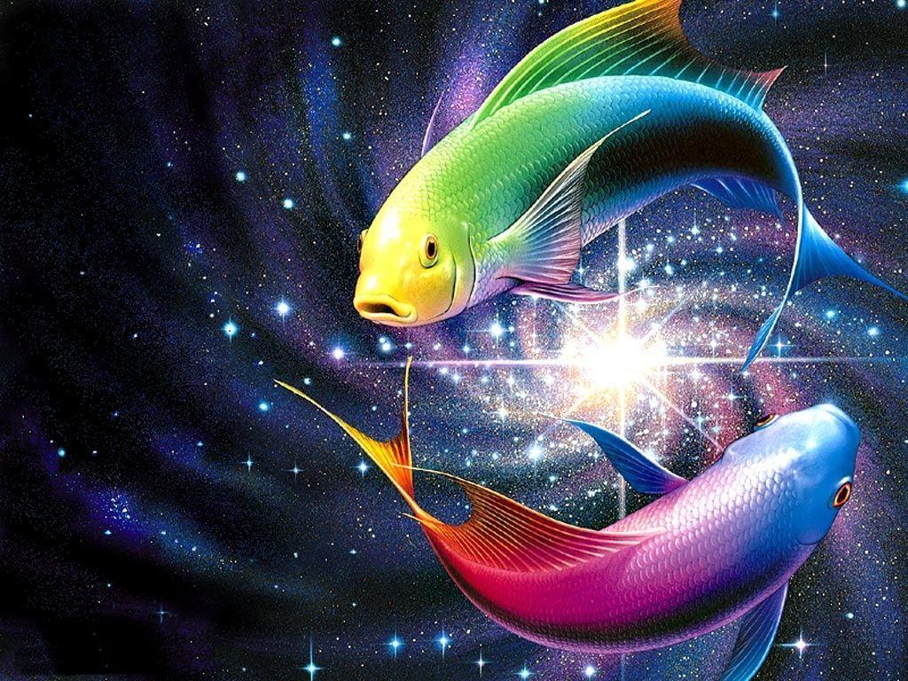 1024x768 Wallpaper for Desktop. Fish wallpaper, Colorful fish, Rainbow fish