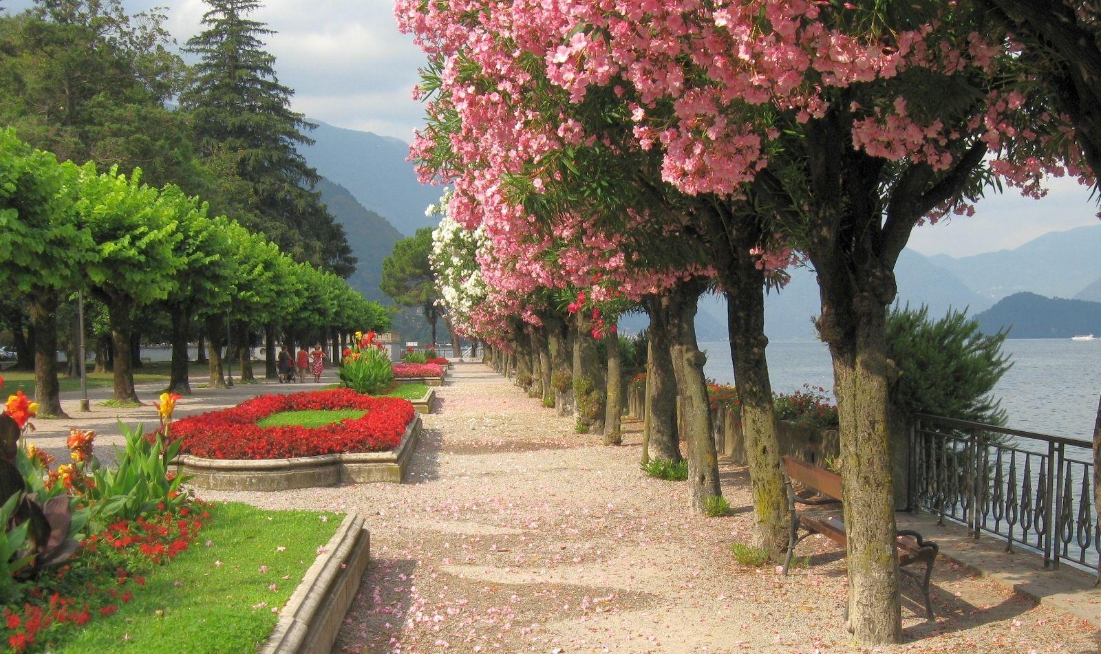 1600x951 springtime, park, flowers, mountains, lake, beautiful, grass, Italy, trees, blossom wallpaper
