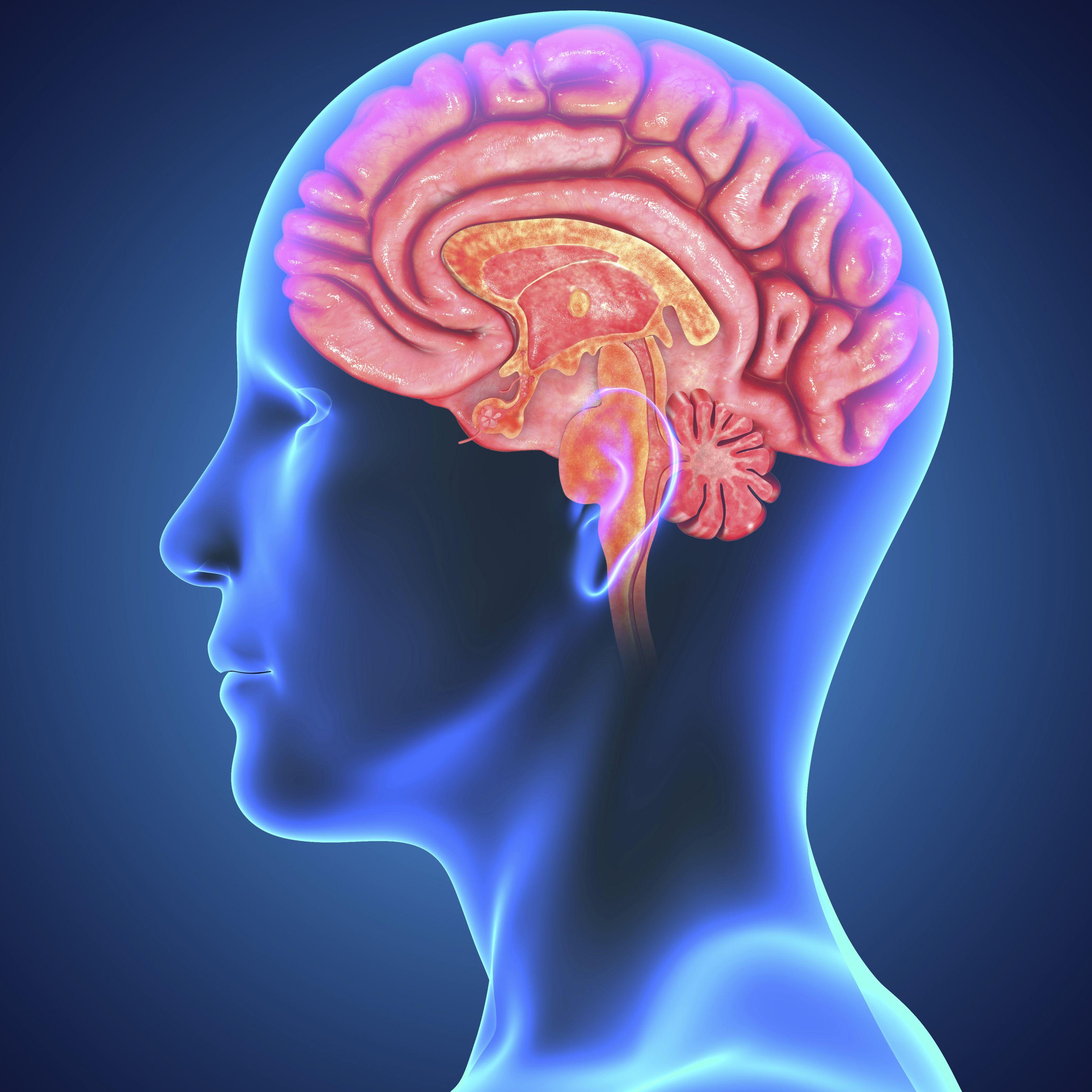 Psychology Brain HD Wallpapers - Top Free Psychology Brain HD