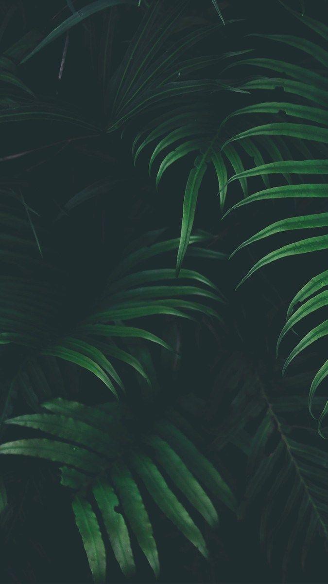 675x1200 Free download 5 Awesome iPhone 8 or iPhone X Wallpaper 3 Layerbag [675x1200] for your Desktop, Mobile & Tablet. Explore Greatest iPhone Wallpaper. Greatest iPhone Wallpaper, Greatest Wallpaper, Greatest Wallpaper
