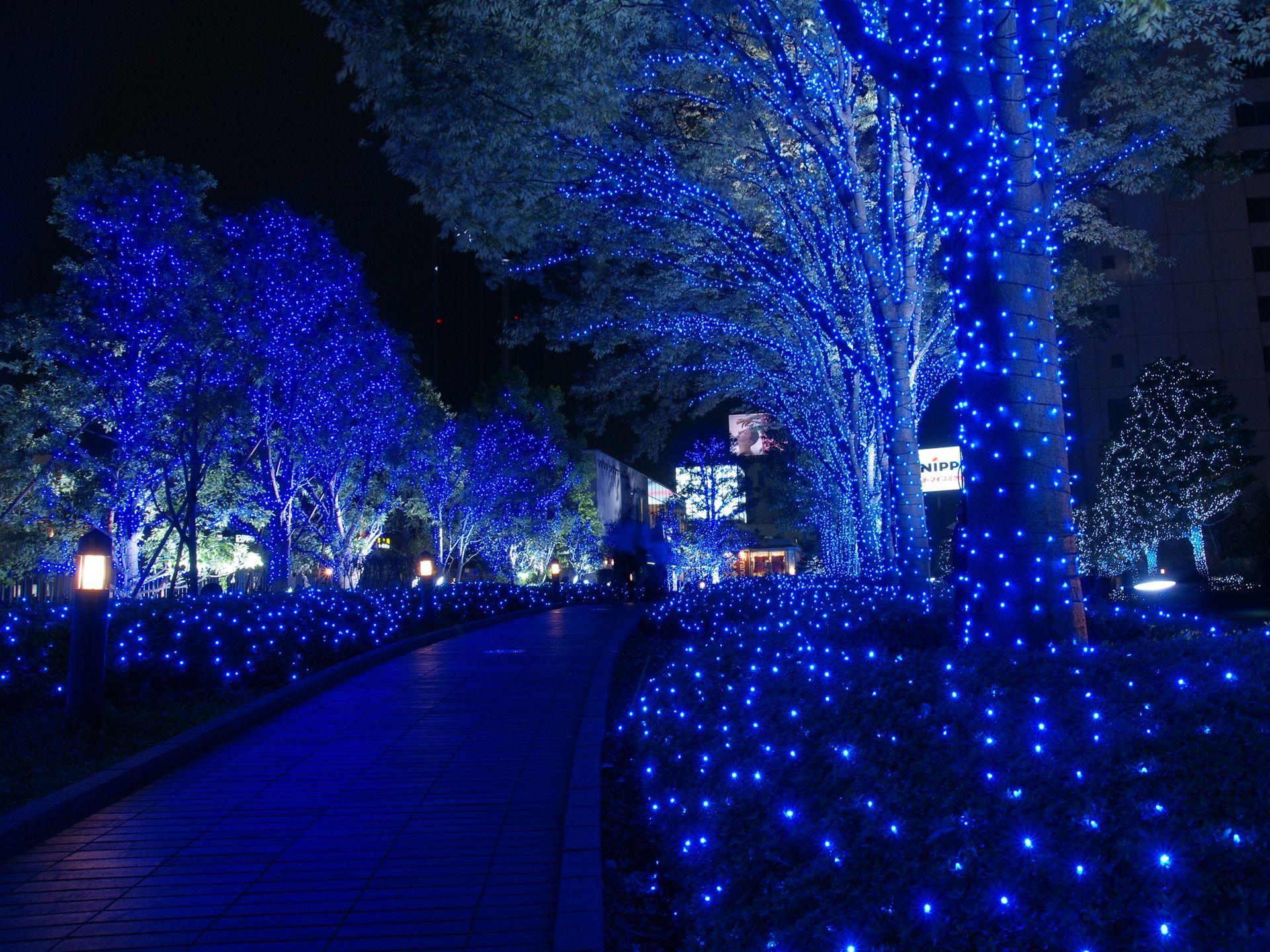 1920x1440 Christmas in Tokyo Wallpaper Japan World Wallpaper in jpg format