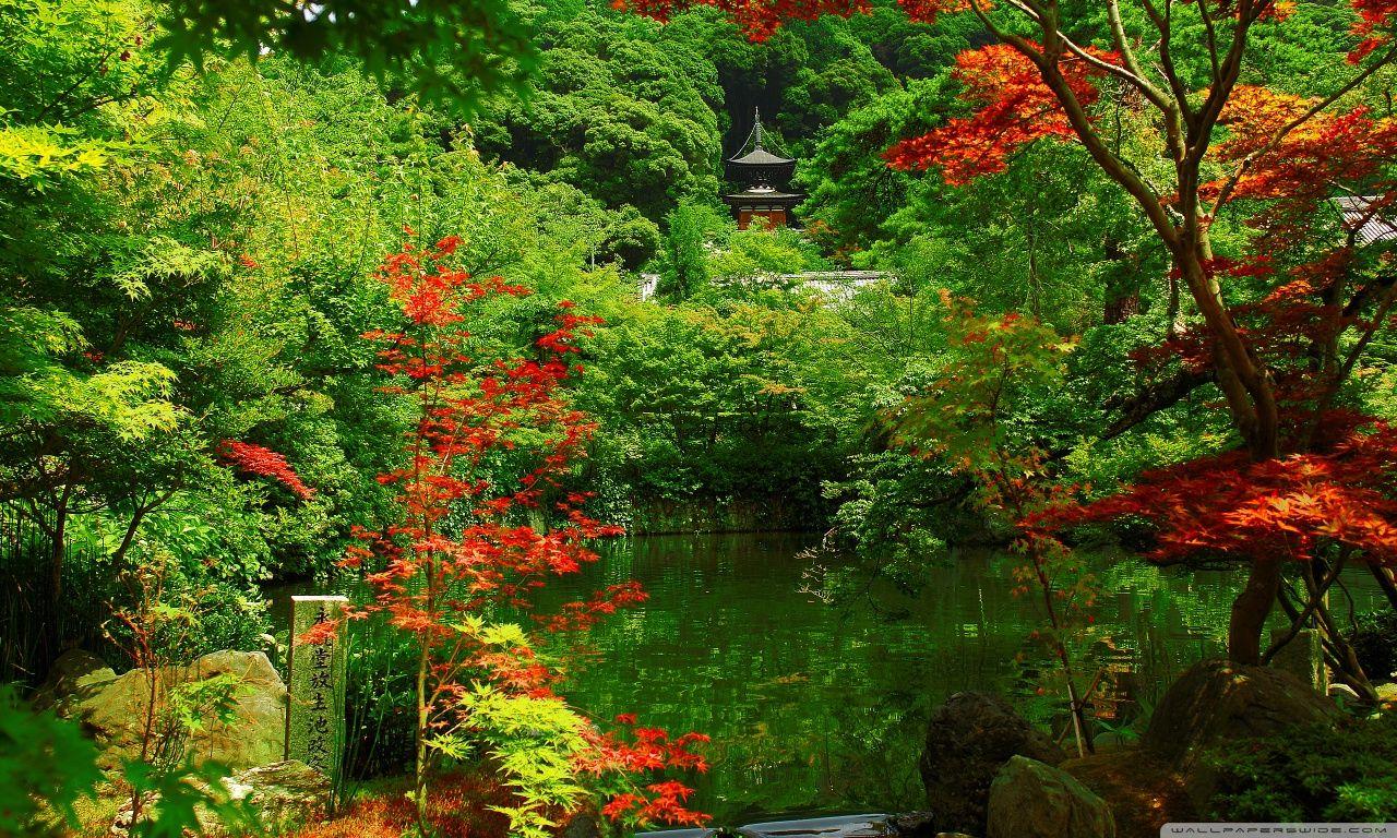 1280x768 Kyoto Garden, Japan ❤ 4K HD Desktop Wallpaper for 4K Ultra HD TV