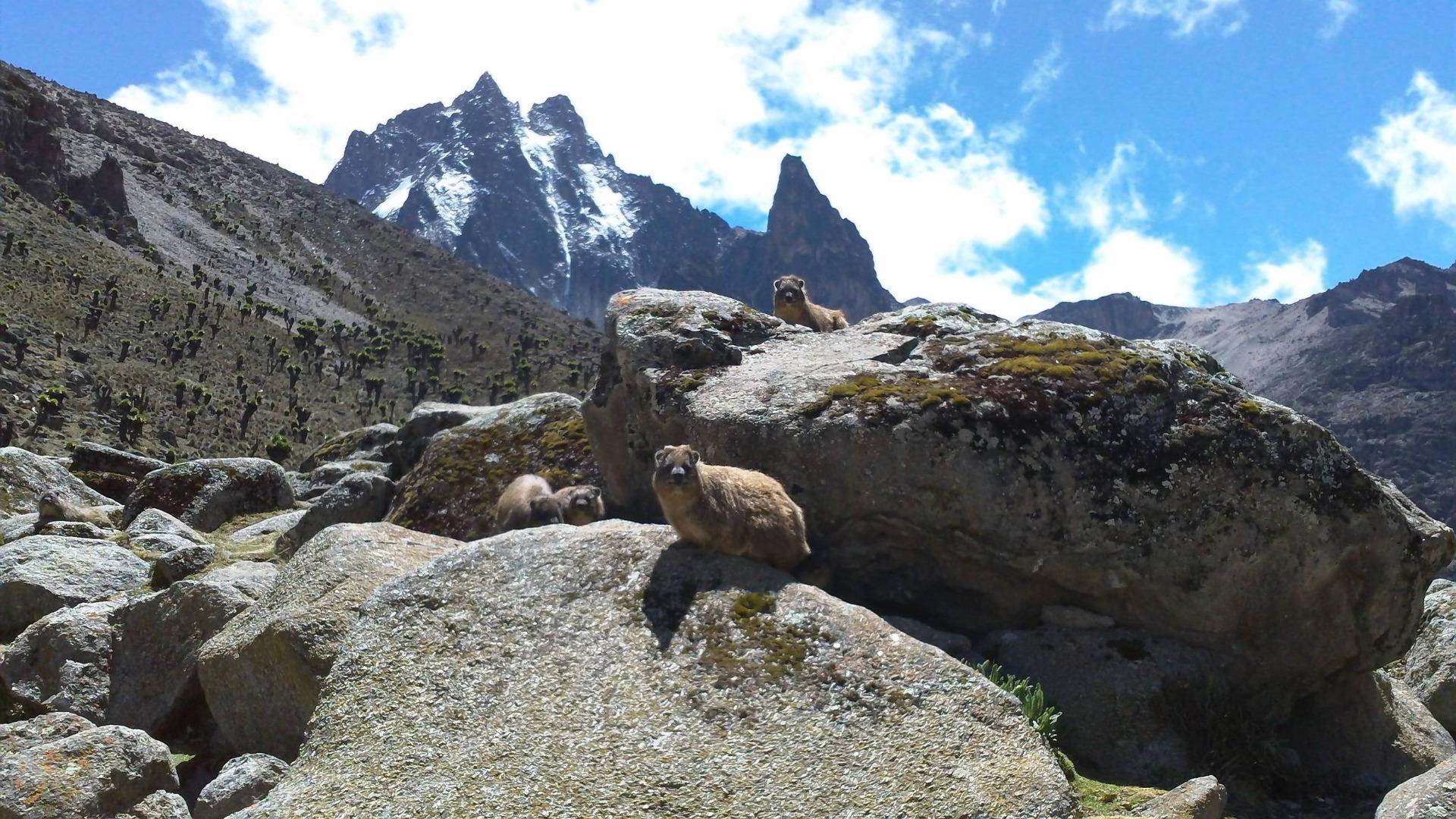 1920x1080 Most Exciting Mountain Climbs in Africa - ( Z Travel )