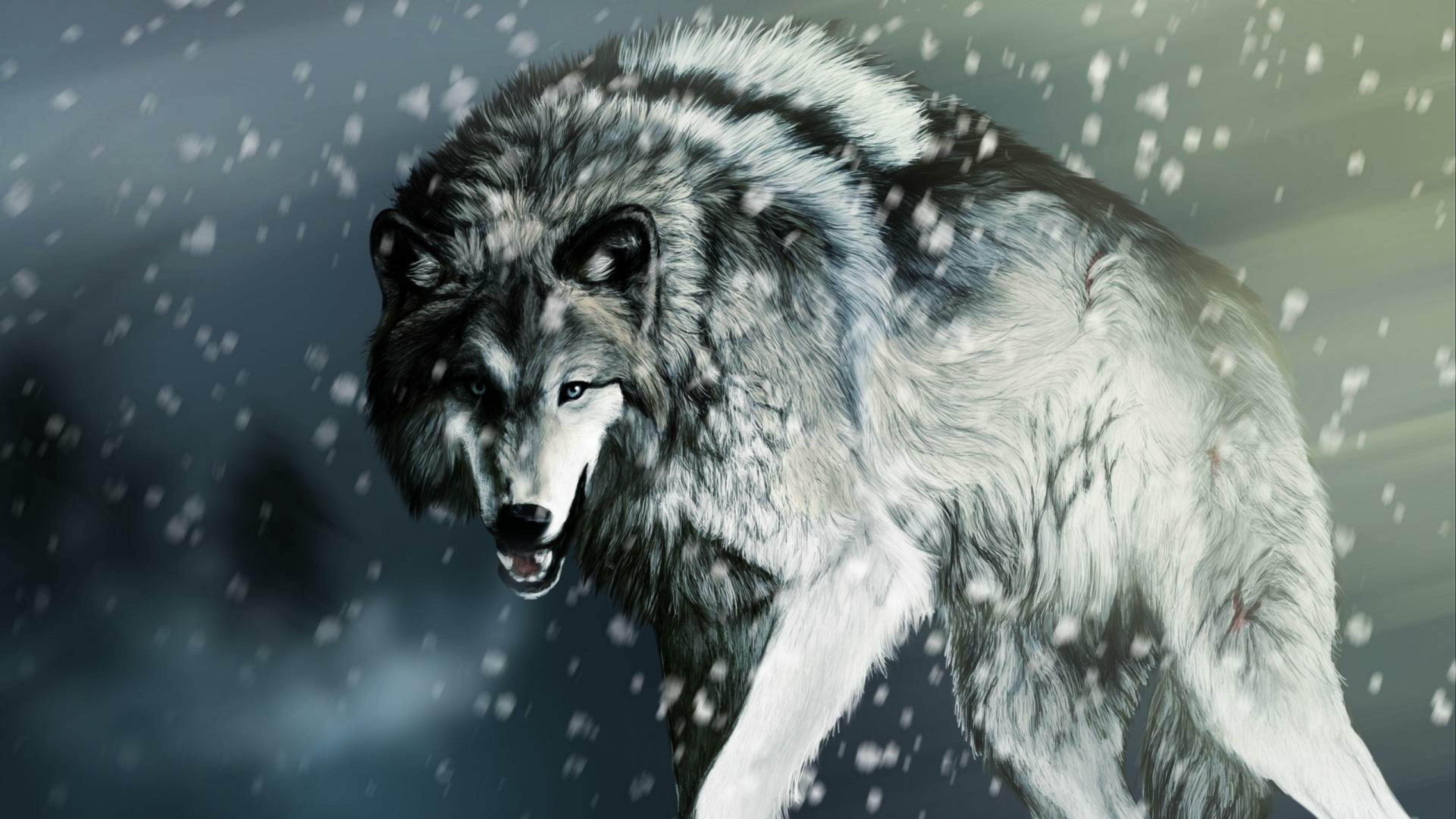 3840x2160 Free Desktop HD Tiger Wolf Wallpaper Download