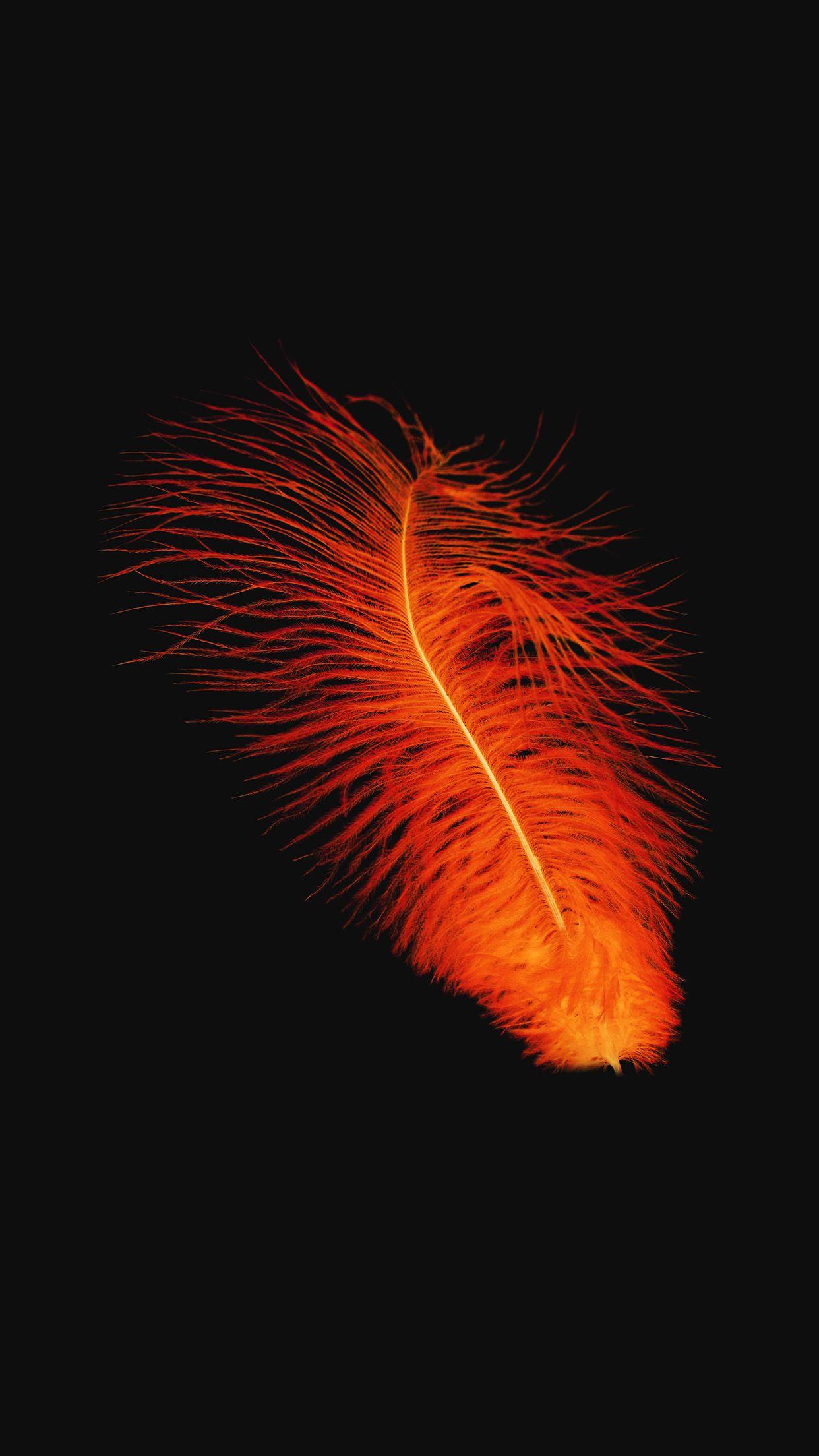 1242x2208 Feather Orange Dark Nature Minimal Android wallpaper HD wallpaper