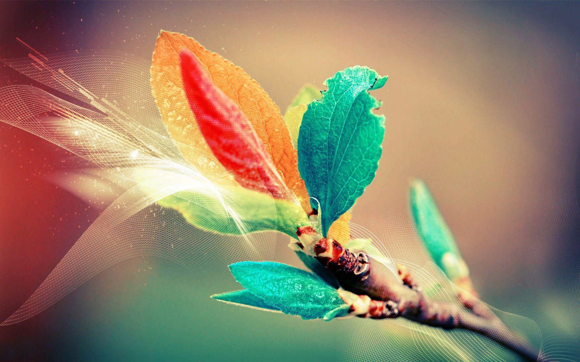 1920x1200 Colorful Wallpaper. Colorful Wallpaper, Colorful iPhone Wallpaper and Colorful Flowers Wallpaper