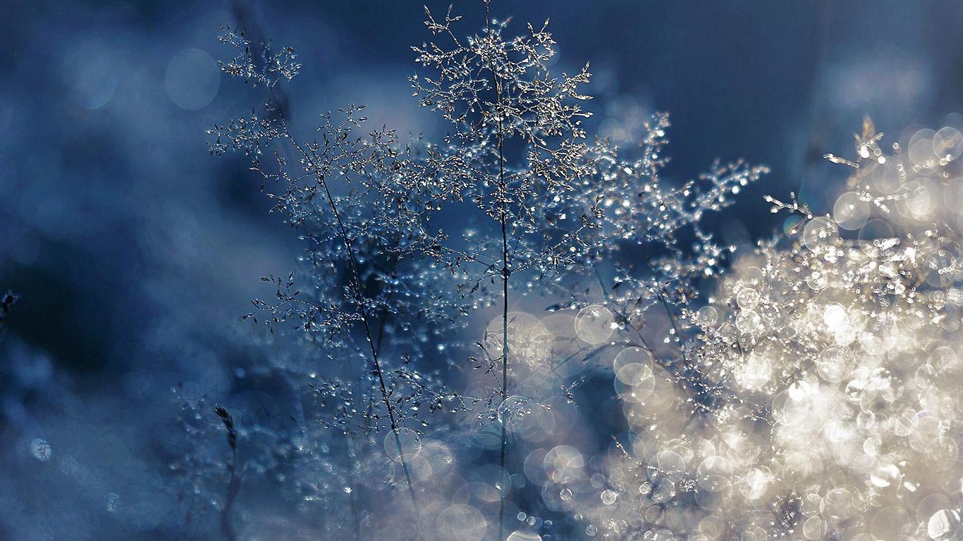 Cute Winter Laptop Wallpapers - Top Free Cute Winter Laptop Backgrounds ...