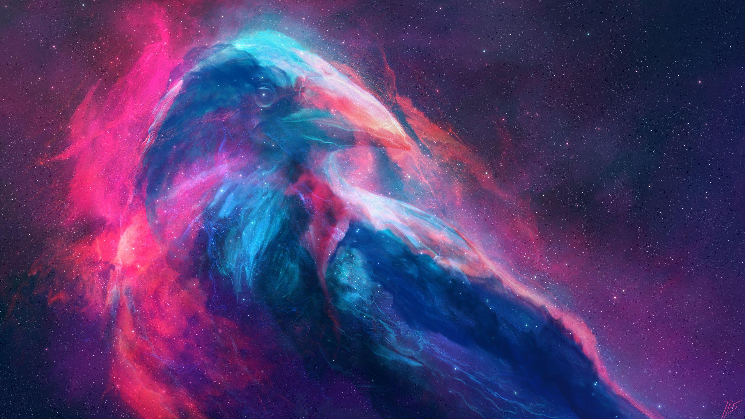 2560x1440 Animal Artistic Space Bird Colors HD Wallpaper Background Image