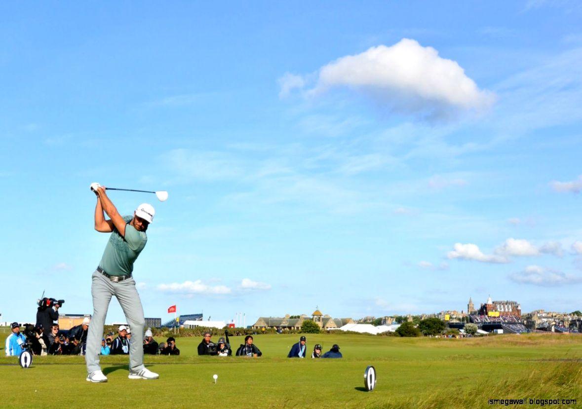 1179x829 Dustin Johnson Wallpaper