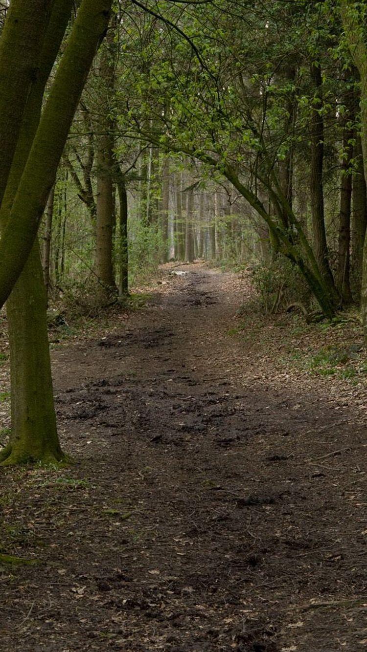 750x1334 Forest Path Spooky iPhone 6 Wallpaper HD