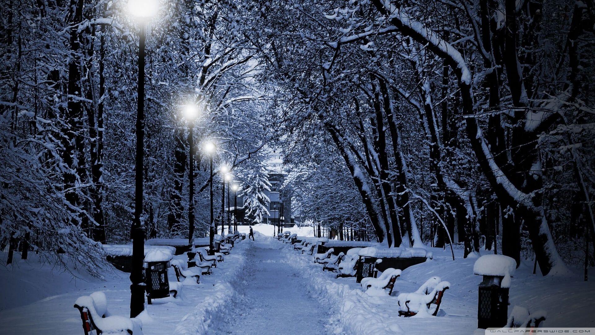 1920x1080 Winter Theme Background