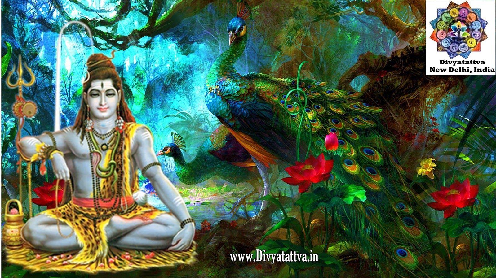 1600x898 Shiva 3D Wallpaper For Pc