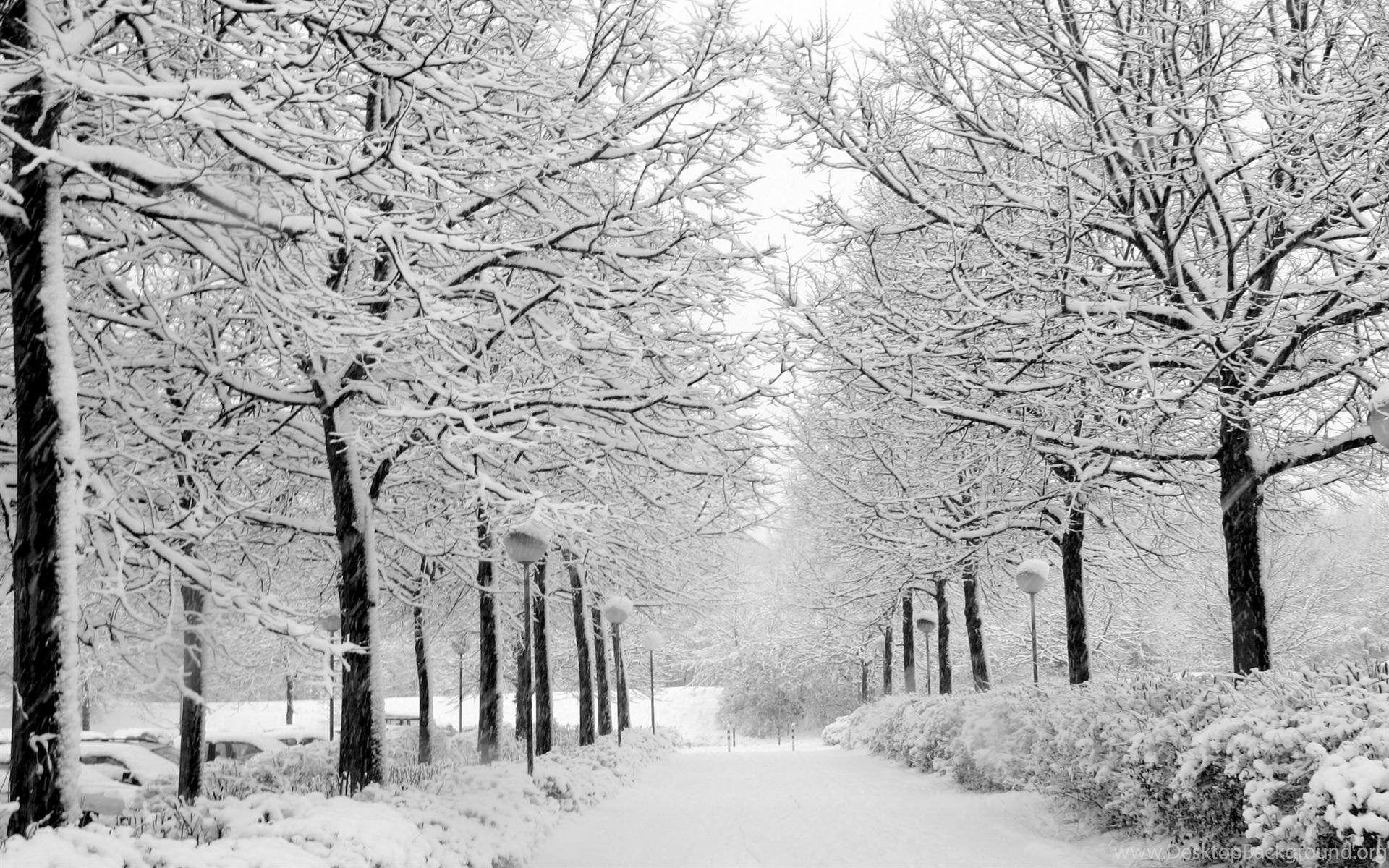 1920x1200 Winter Themes For Windows 7 Wallpaper 220467 Desktop Background