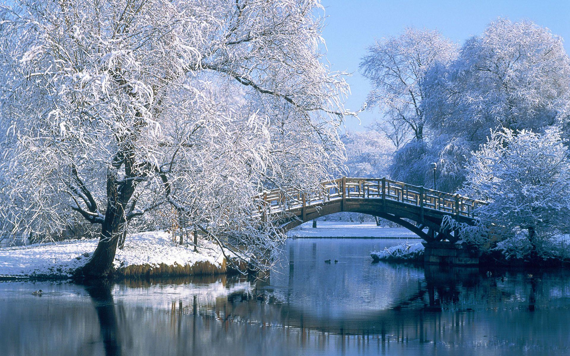 1920x1200 Winter Background