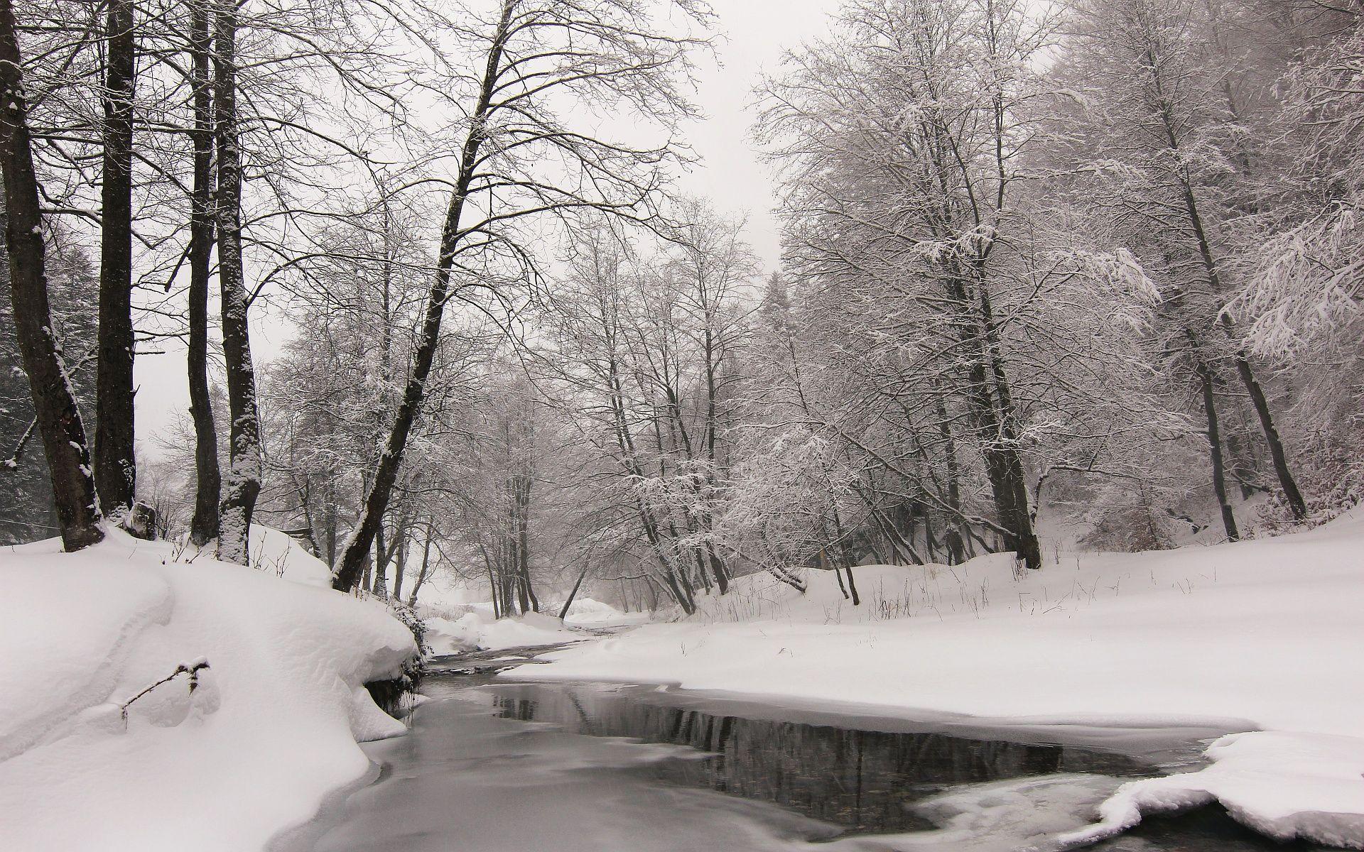 1920x1200 nicu's FOSS'n'stuff: Winter wallpaper