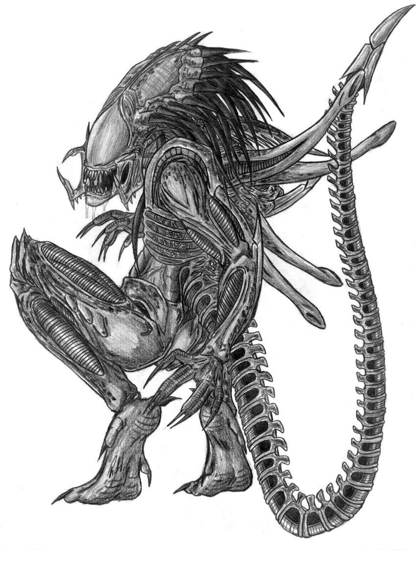 Predalien Wallpapers - Top Free Predalien Backgrounds - Wallpaperaccess