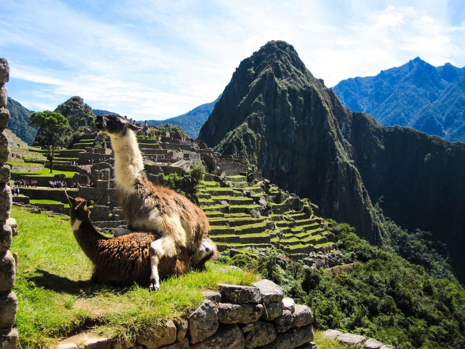 1600x1200 Free download I was browsing the web for Machu Picchu wallpaper when suddenly [1600x1200] for your Desktop, Mobile & Tablet. Explore Machu Picchu Wallpaper. Machu Picchu Picture Wallpaper, Machu
