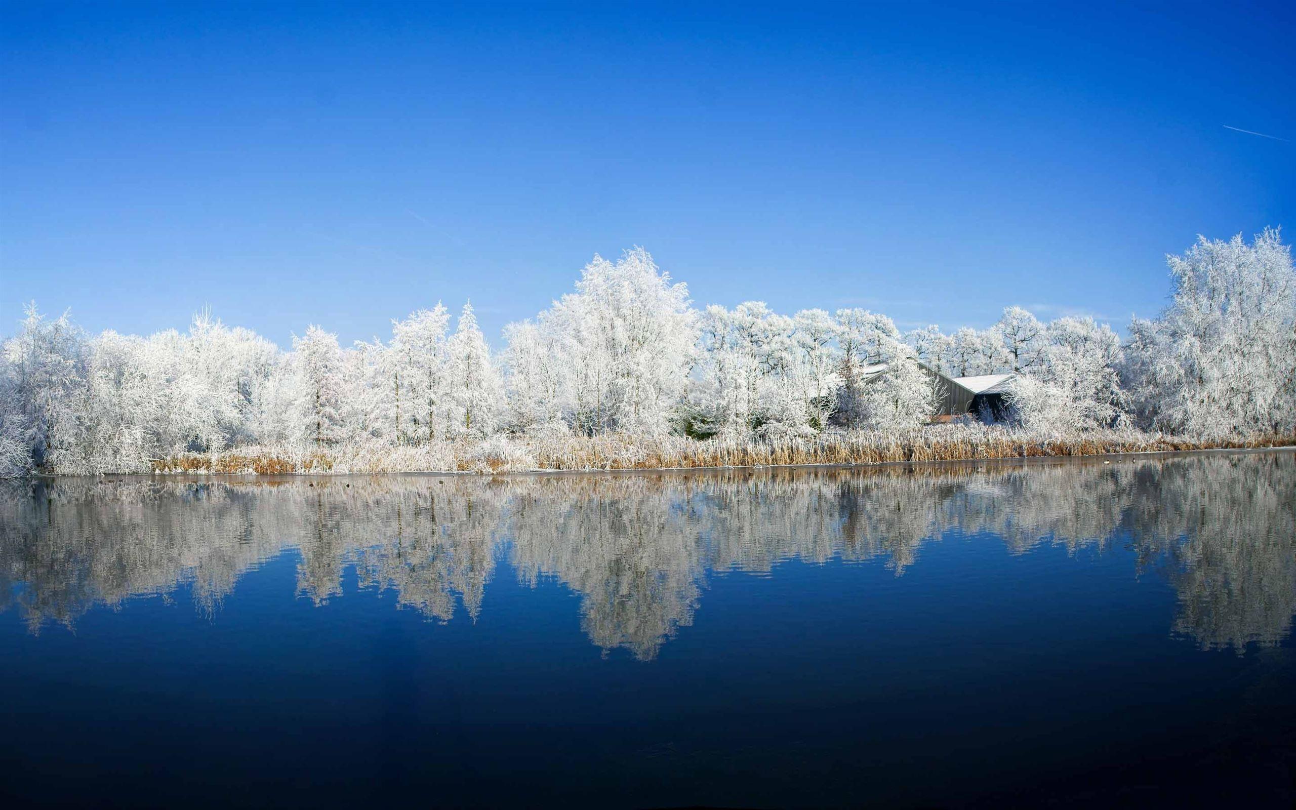 2560x1600 Panoramic Photography Winter Mac Wallpaper Download