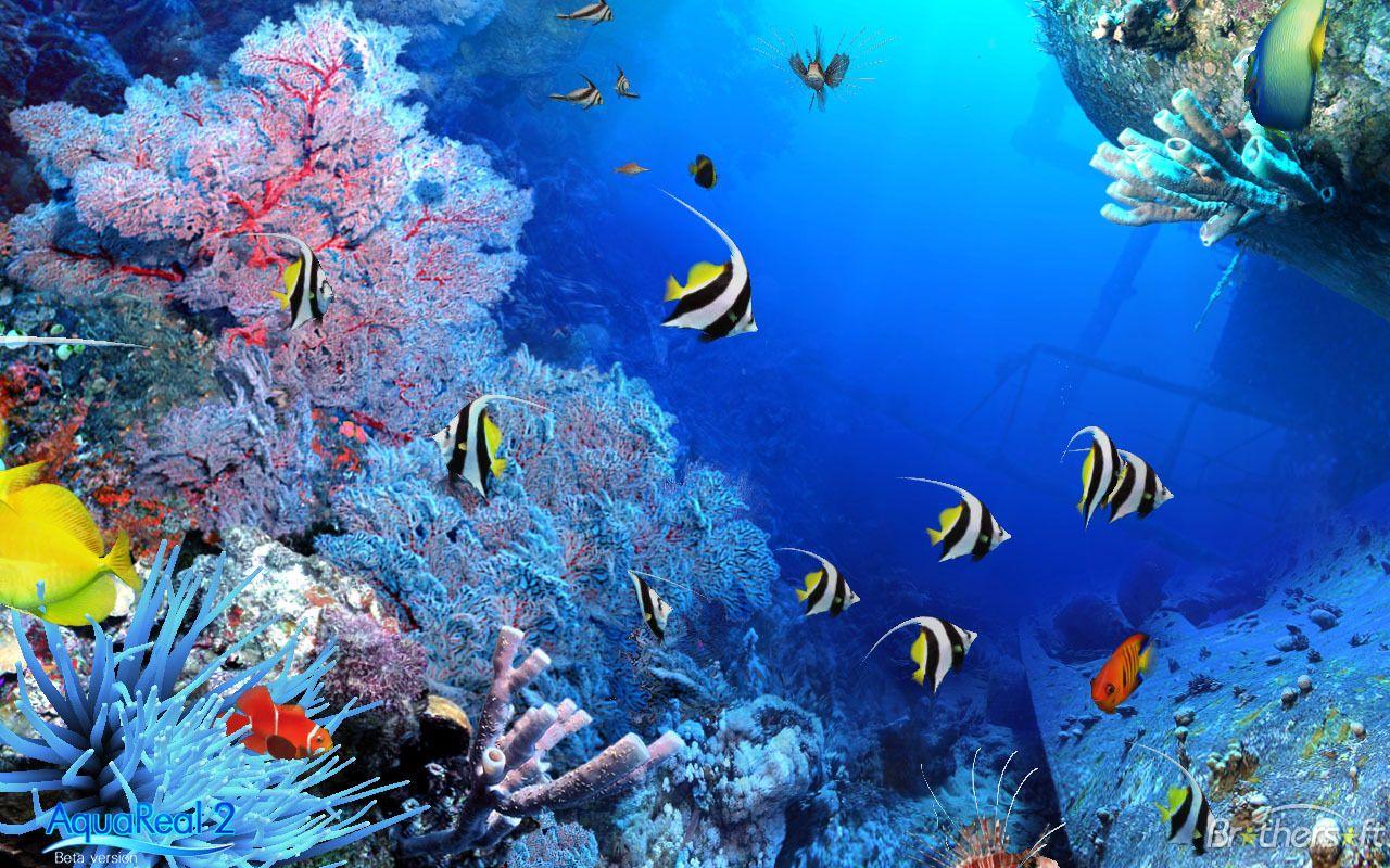 1280x800 Aquarium Wallpaper