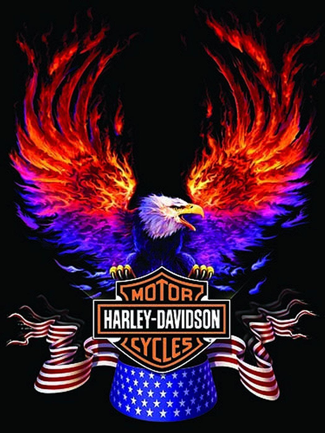 Harley Davidson Eagle Wallpapers Top Free Harley Davidson Eagle Backgrounds Wallpaperaccess