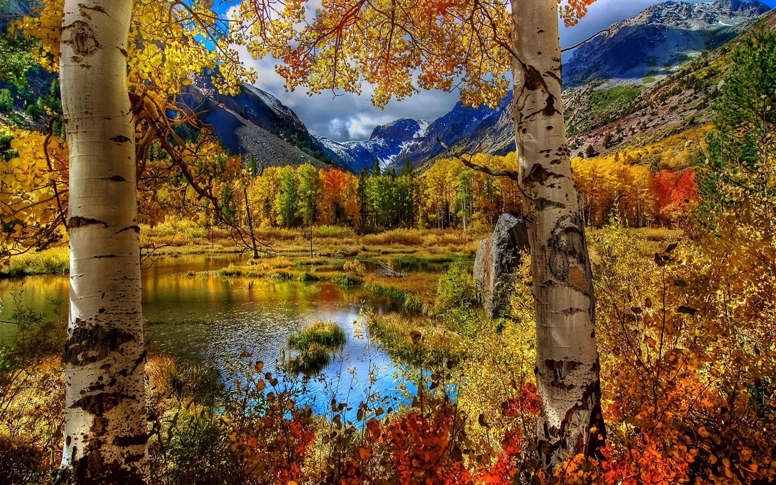 2560x1600 Beautiful Nature Fall HD Wallpaper :