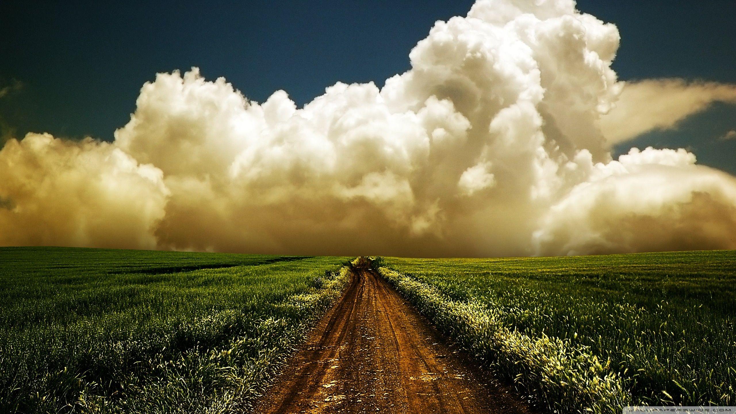 2560x1440 Road To Heaven HD Wallpaper