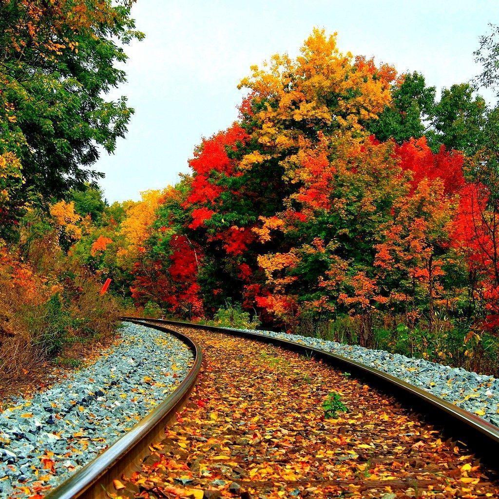 1024x1024 Fall Scenery Wallpaper