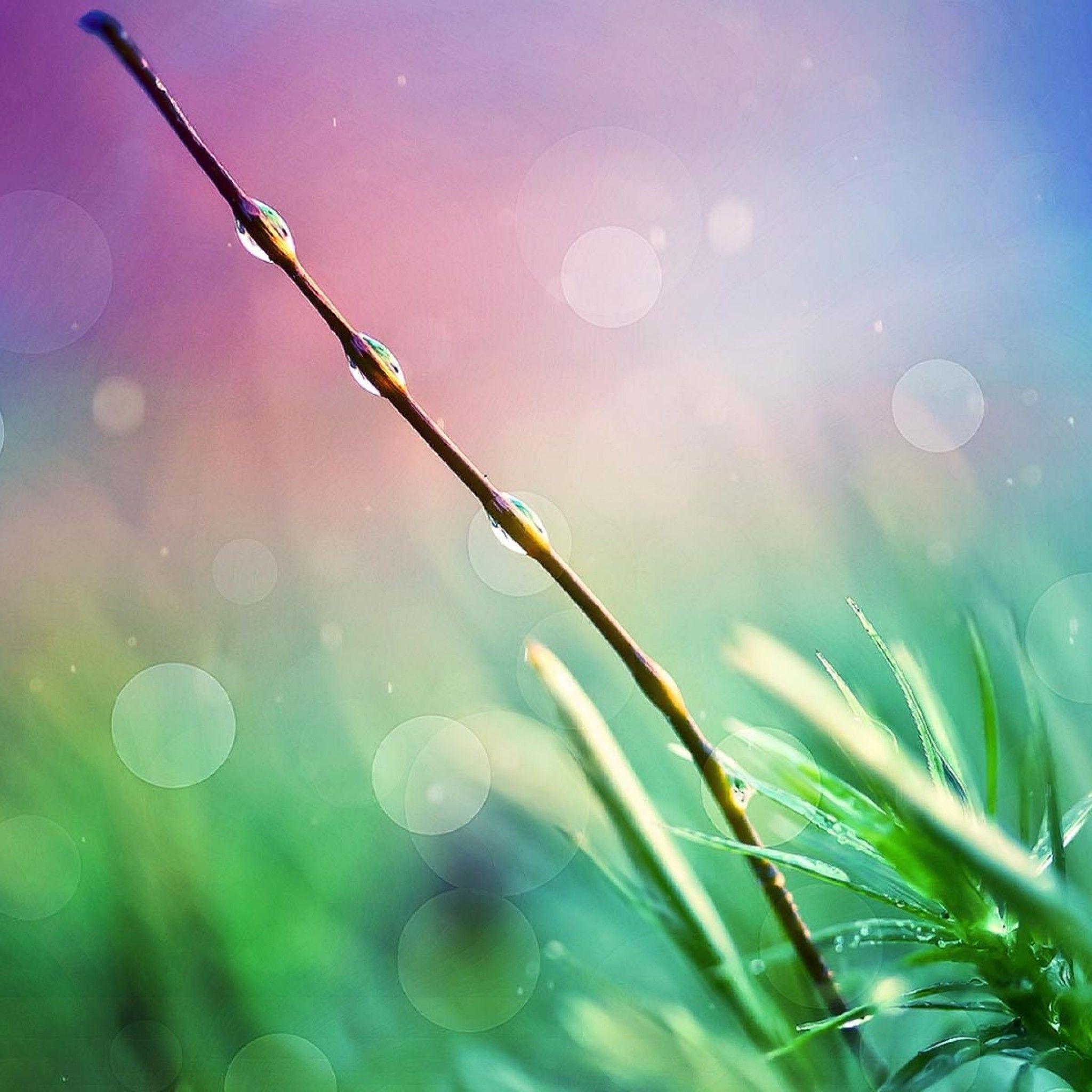 2048x2048 Best heaven iPad Wallpaper HD