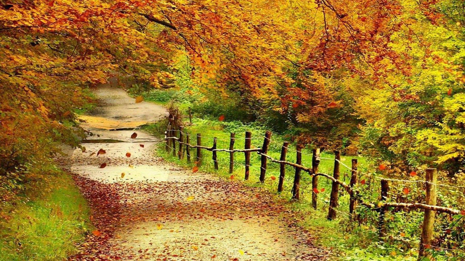 1920x1080 Beautiful Autumn Scenery Wallpaper Full HD Wallpaper :