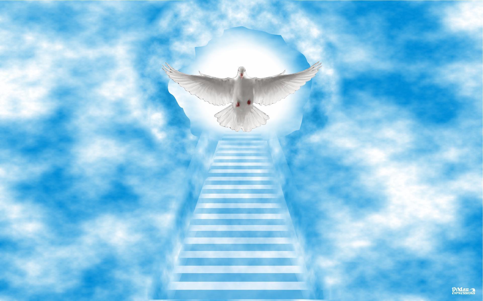 1920x1200 Stairway To Heaven Wallpaper
