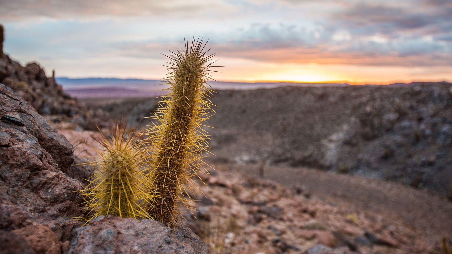 1920x1080 Why visit the Atacama Desert?