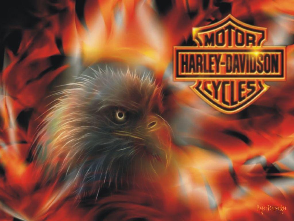 Harley-Davidson Eagle Wallpapers - Top Free Harley-Davidson Eagle