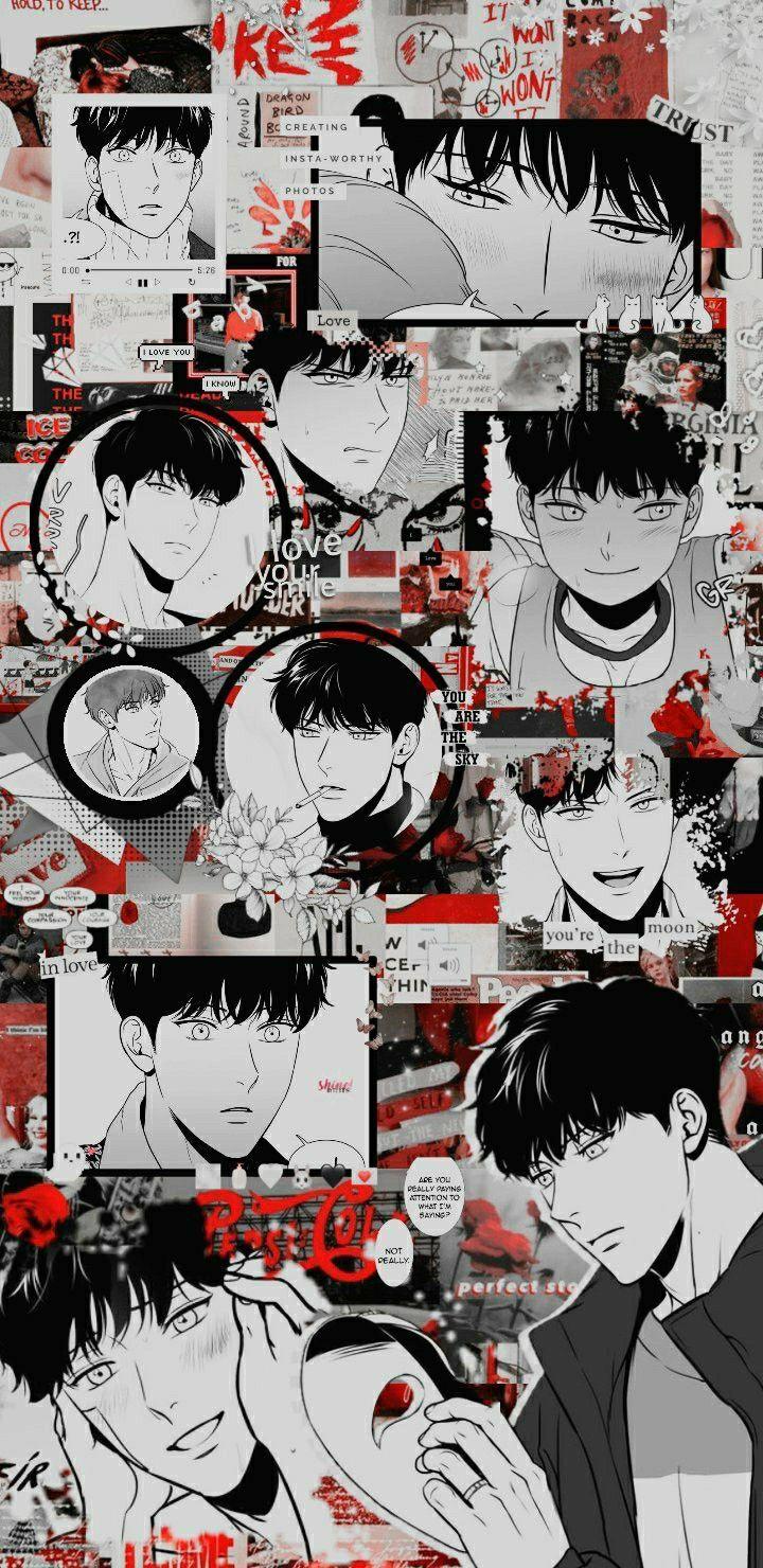 720x1480 Wallpaper