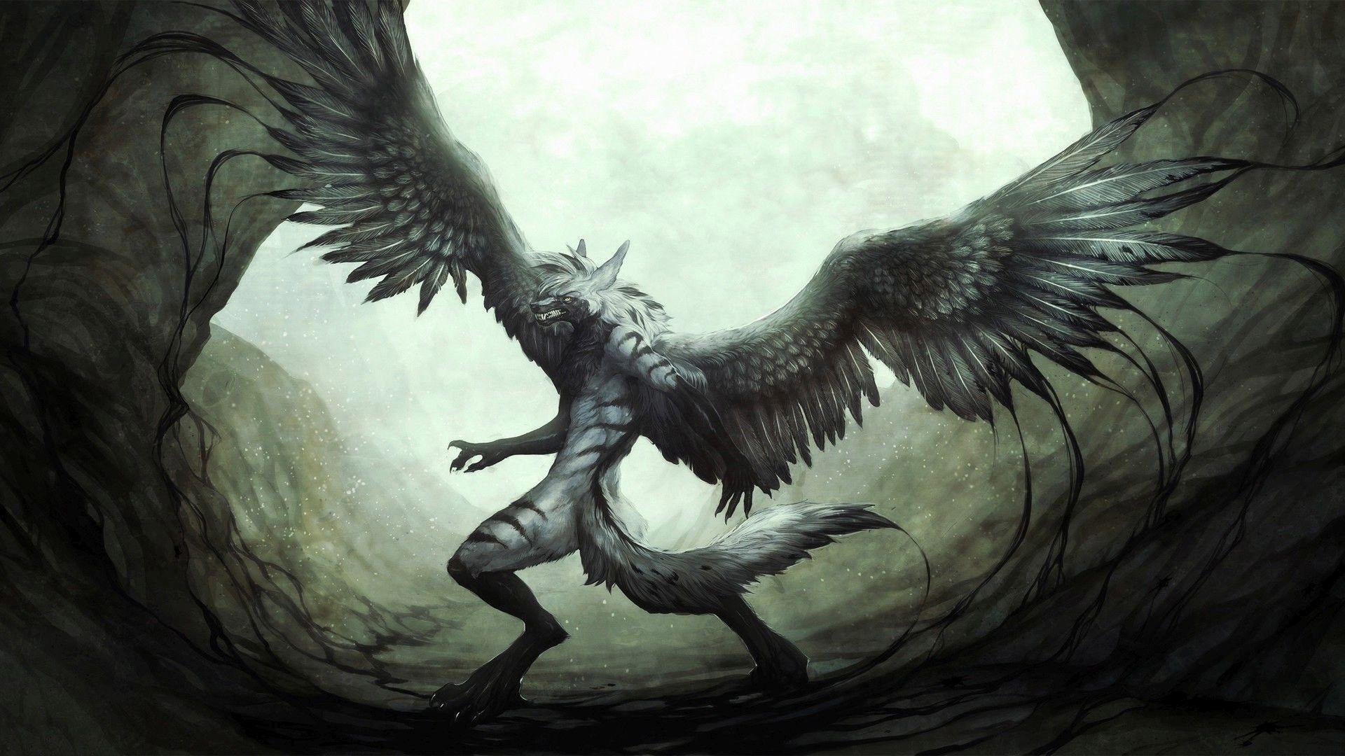 1920x1080 Furry Wolf Wallpaper