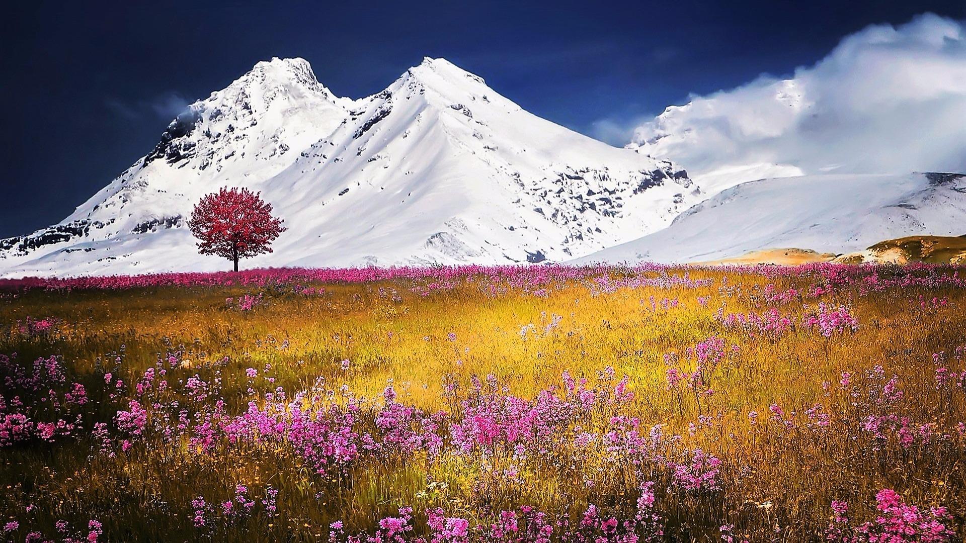 alps-wallpapers-top-free-alps-backgrounds-wallpaperaccess