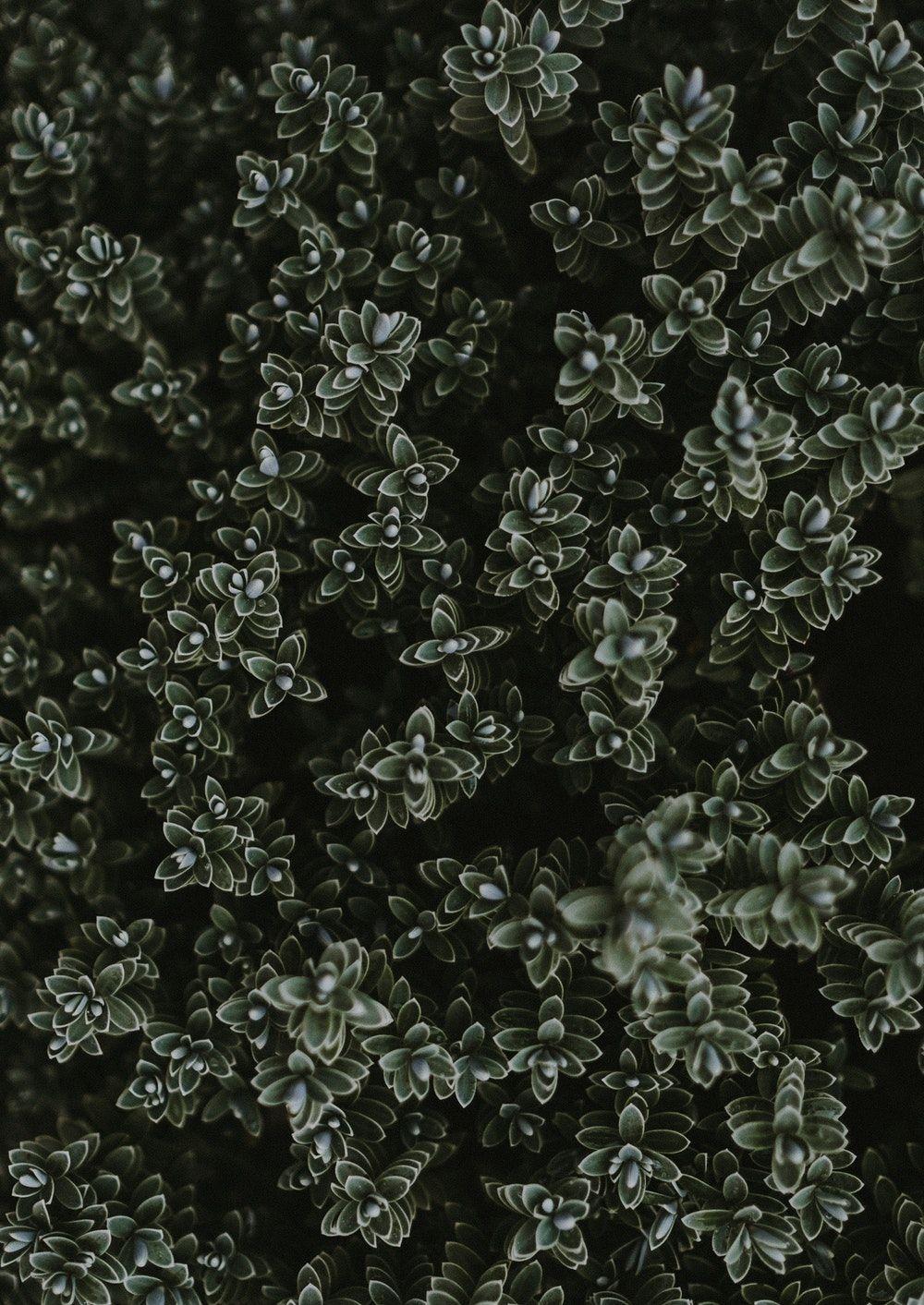 1000x1413 iPhone Wallpaper. best free iphone wallpaper, wallpaper, lock