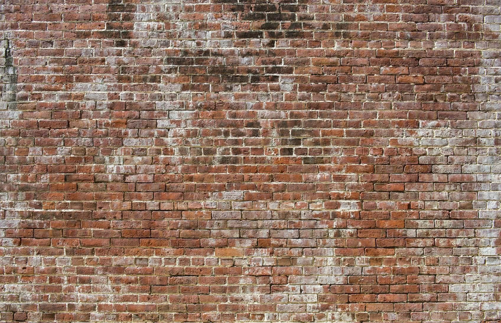 1696x1093 Why Interior Designers Love Faux Brick Wallpaper Murals