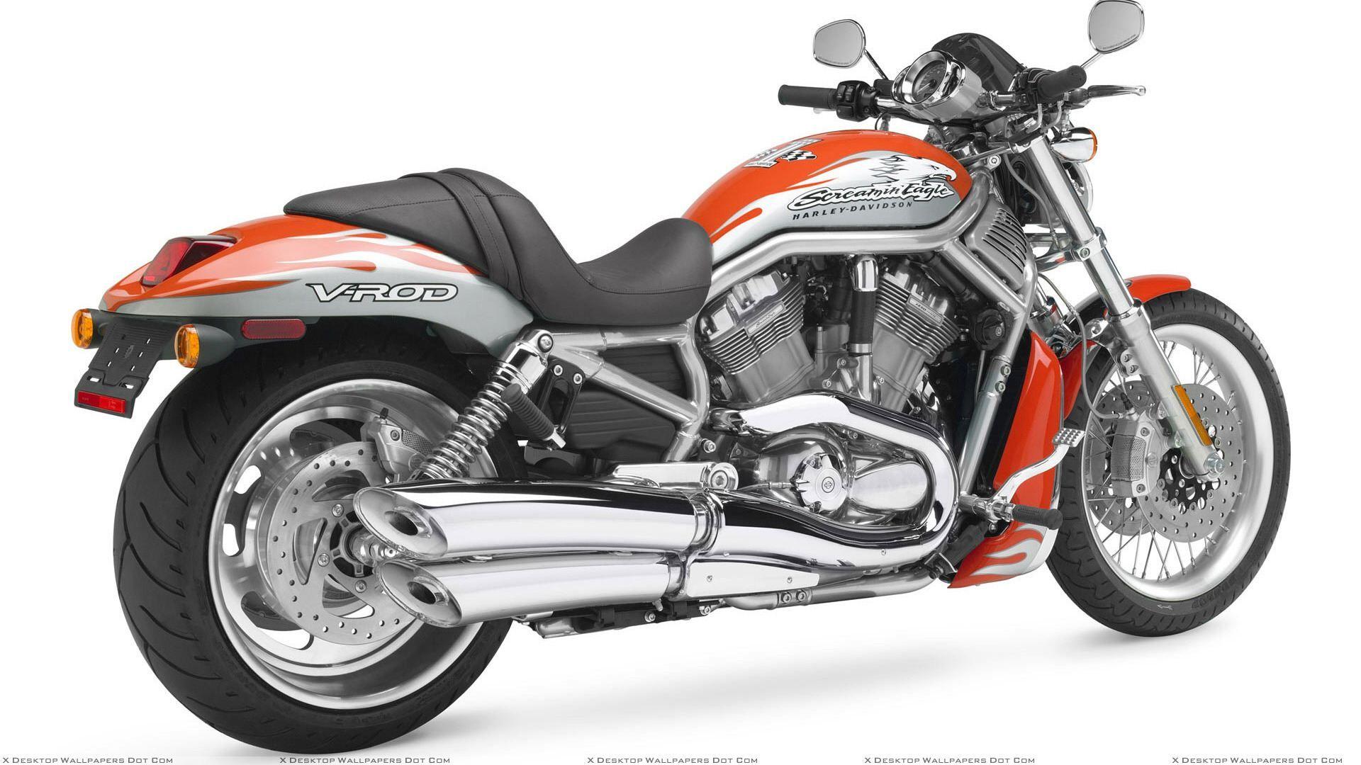 1920x1080 Orange Harley Davidson Vrscf V Rod Muscle Back Pose Wallpaper