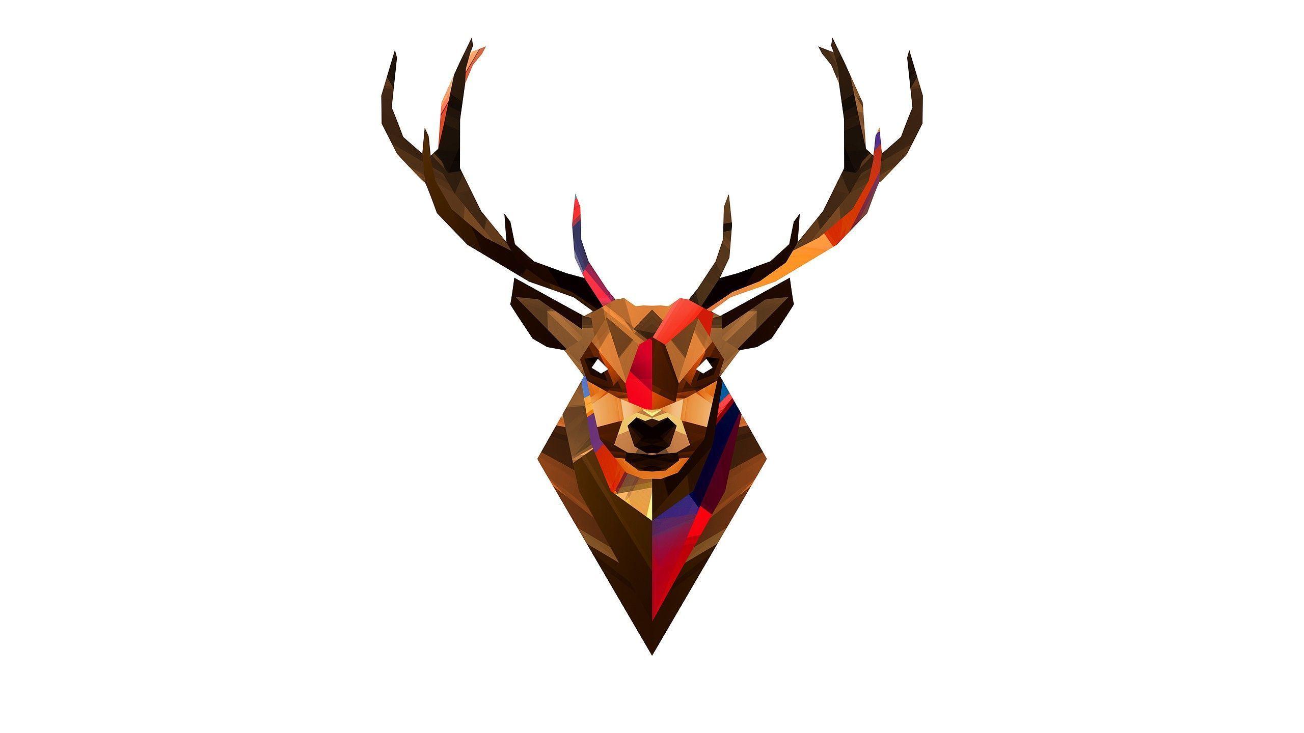 2560x1440 Free download Deer head Wallpaper 3690 [2560x1440] for your Desktop, Mobile & Tablet. Explore Wallpaper Skull Heads. Awesome Skull Wallpaper, Harley Davidson Wallpaper Skills, Girl Skull Wallpaper