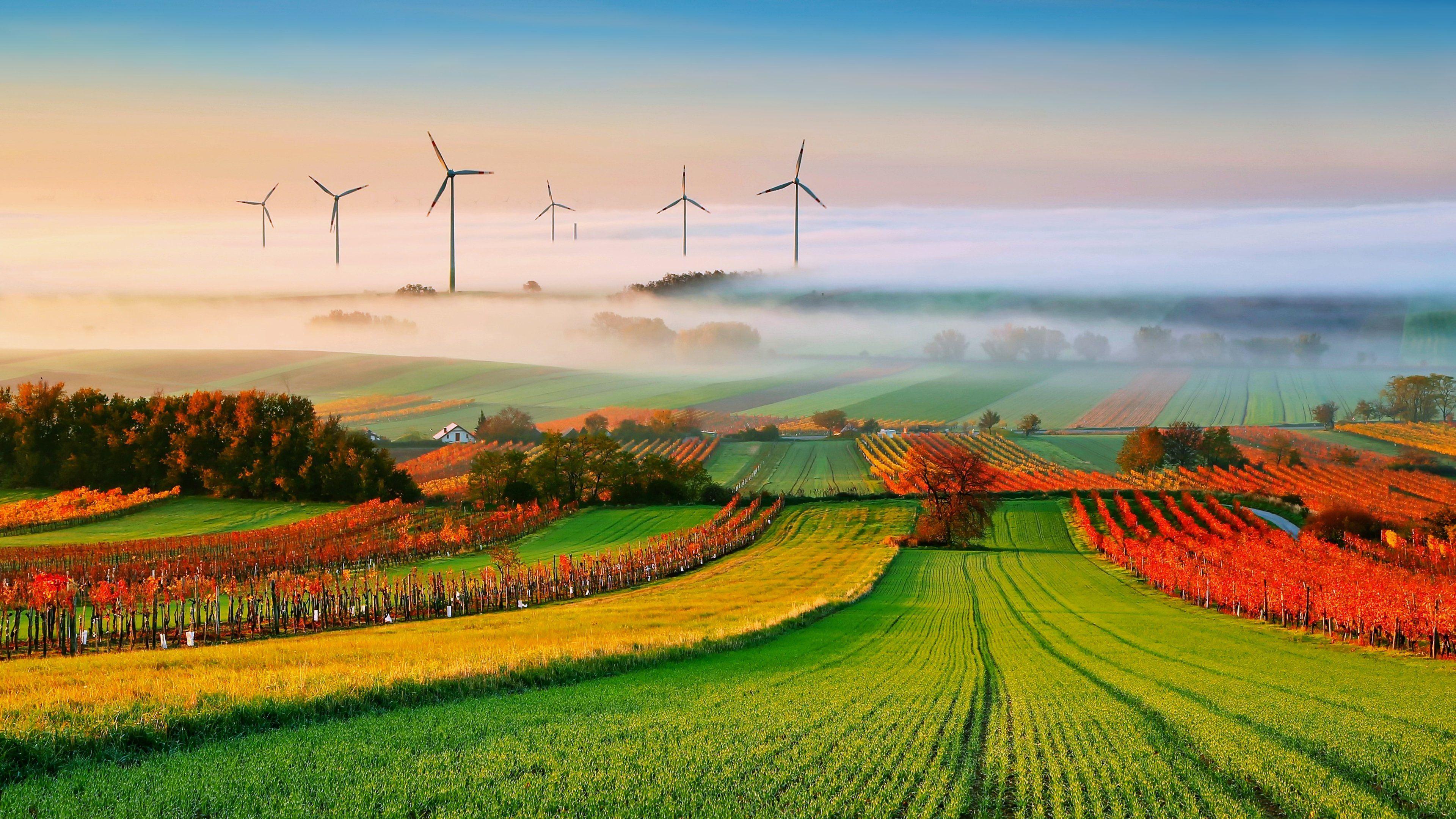 3840x2160 fog, Landscapes, Nature, Fields, Trees, Countryside, Fans, Electric, Power, Generation, Autumn, Clouds Wallpaper HD / Desktop and Mobile Background