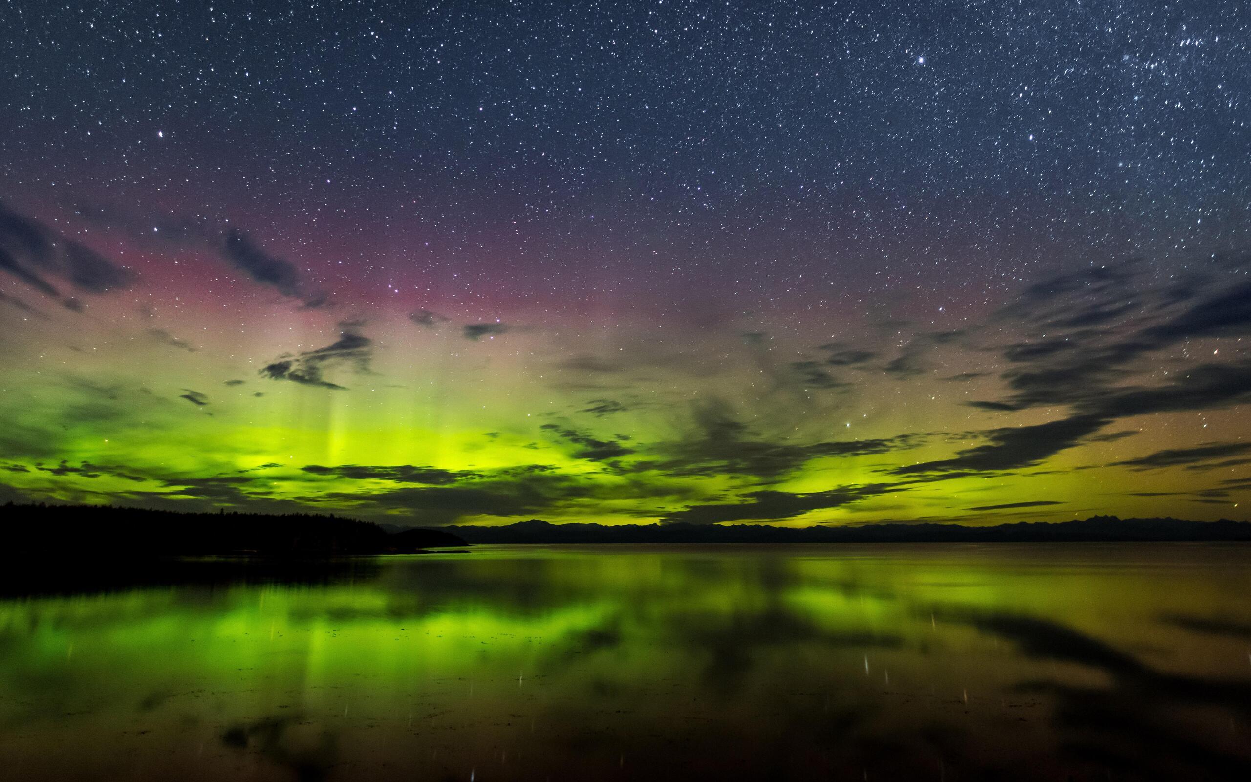 2560x1600 Aurora Borealis Vancouver Island 8k 2560x1600 Resolution HD 4k Wallpaper, Image, Background, Photo and Picture