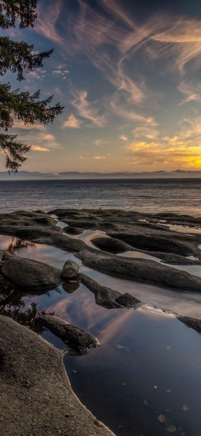 828x1792 Wallpaper Canada, Vancouver Island, fog, sea, coast, trees, morning 3840x2160 UHD 4K Picture, Image
